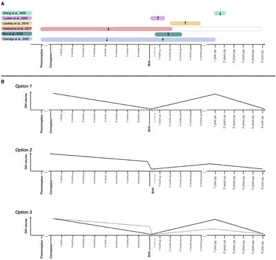 Characterizing the Brain Structural Adaptations Across the Motherhood Transition